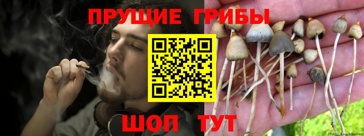 Псилоцибиновые грибы Psilocybine cubensis  Вход с VPN  наркошоп  Семёнов  Псилоцибиновые грибы Psilocybine cubensis 